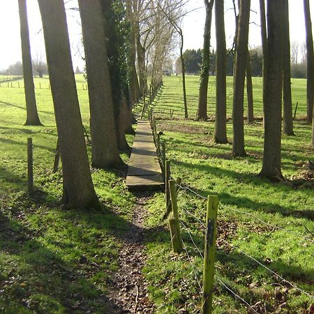 Gite Les Mineurs Zottegem Buitenkant foto