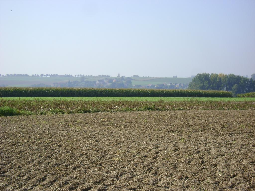 Gite Les Mineurs Zottegem Buitenkant foto
